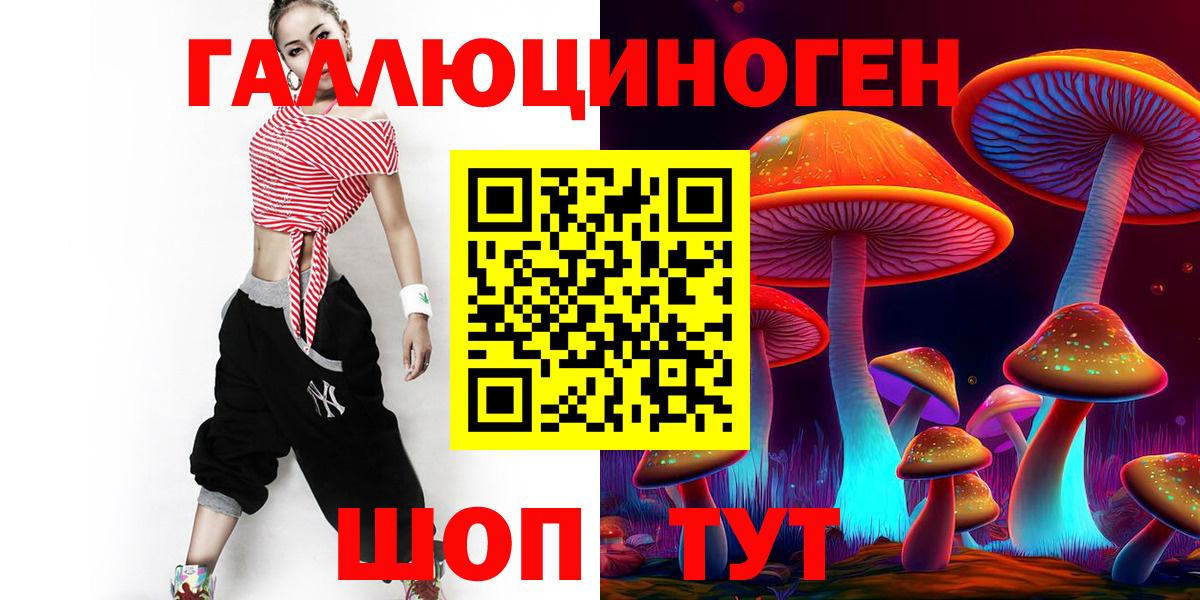 Галлюциногенные грибы Psilocybine cubensis Лабытнанги